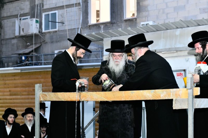 שוקי לרר