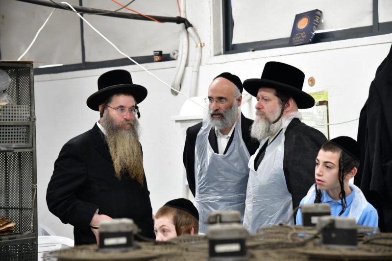 יוסי לוי