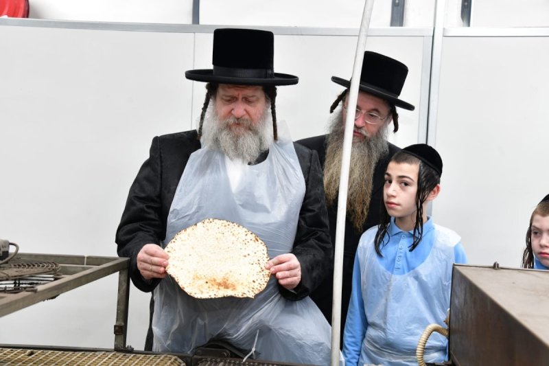 יוסי לוי