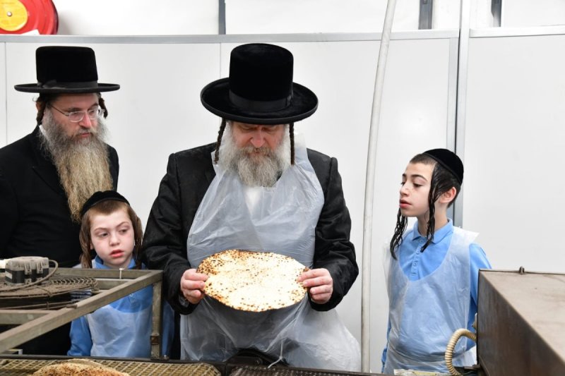 יוסי לוי