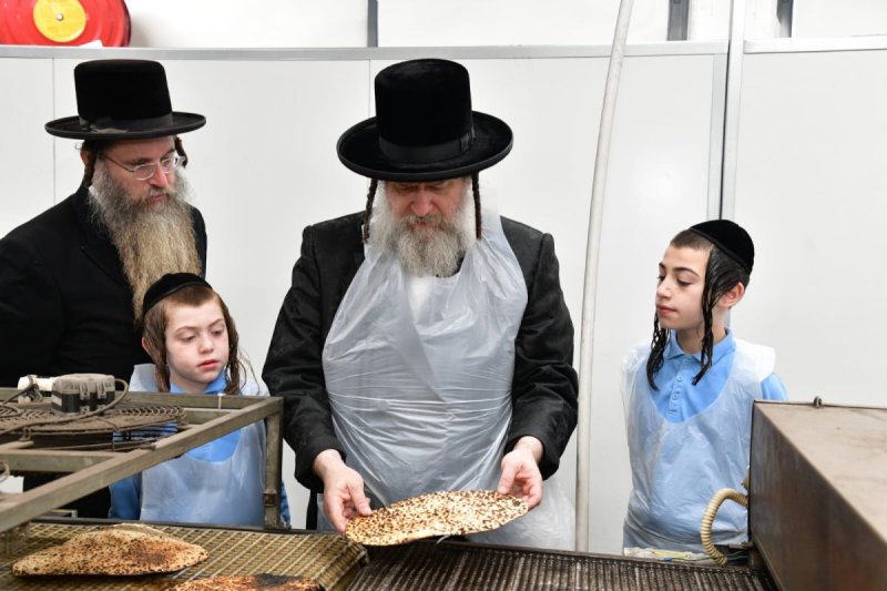 יוסי לוי