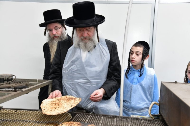 יוסי לוי