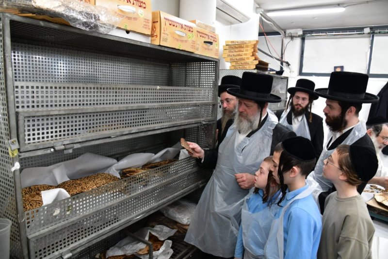 יוסי לוי