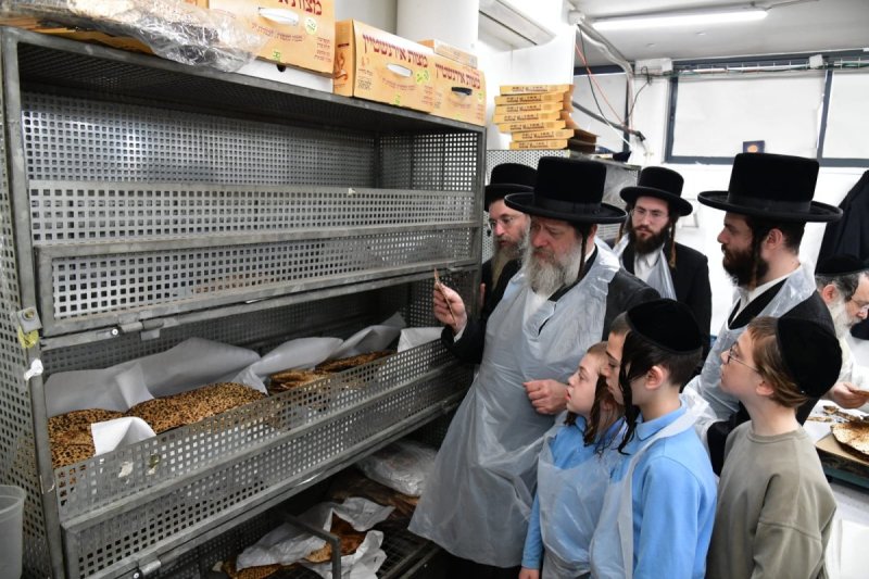 יוסי לוי
