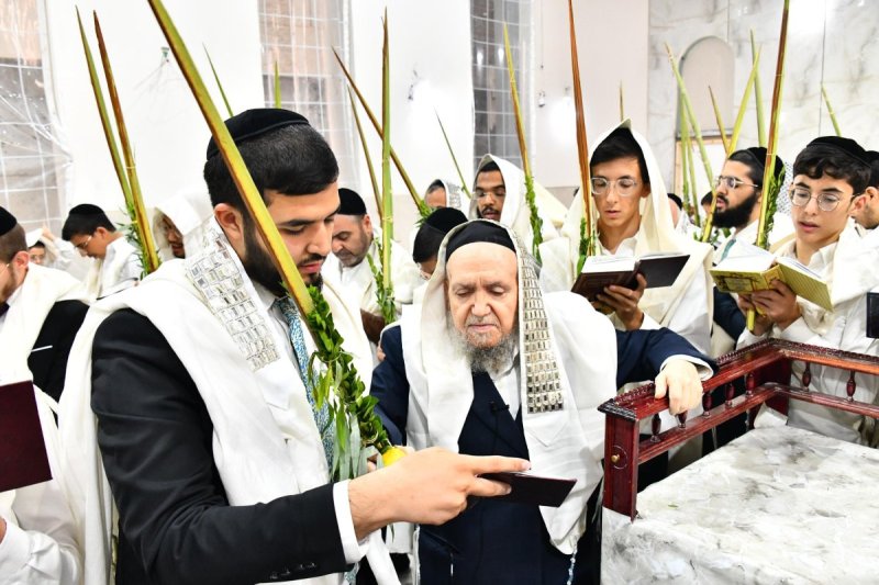 שוקי לרר