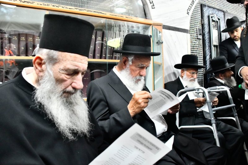 שוקי לרר