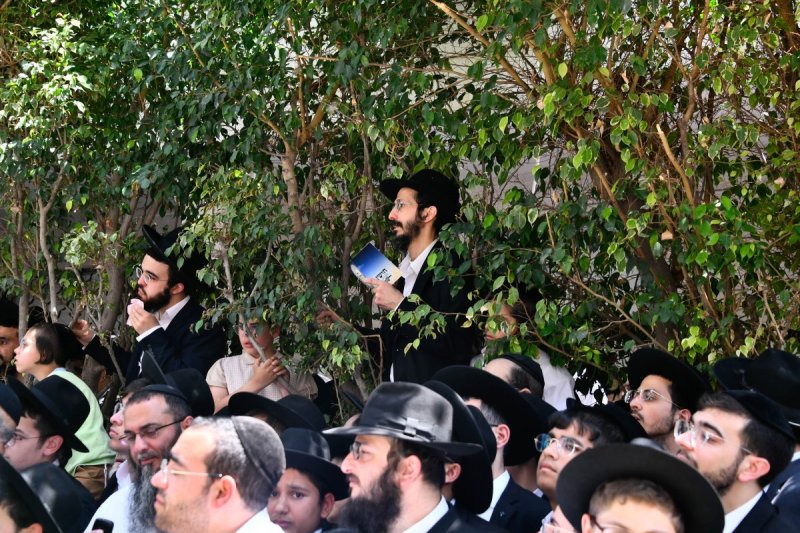 שוקי לרר