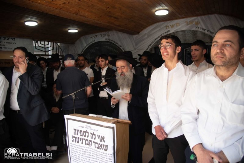 עזרא טרבלסי