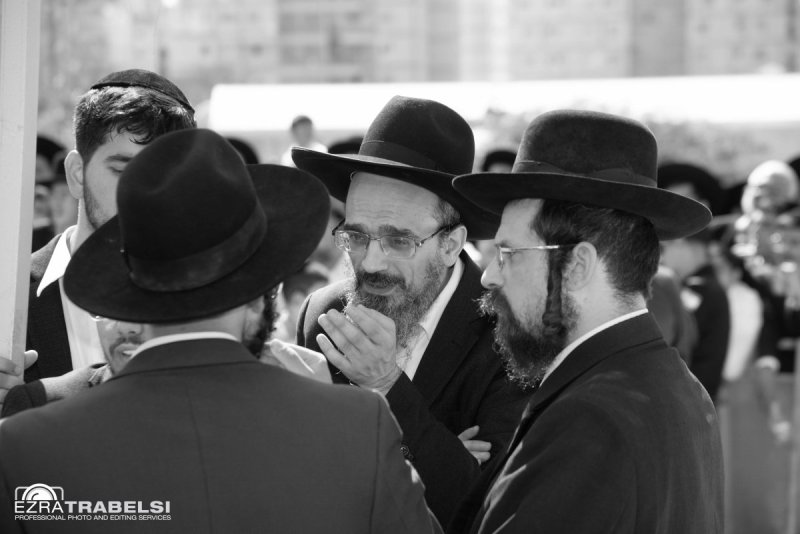 עזרא טרבלסי