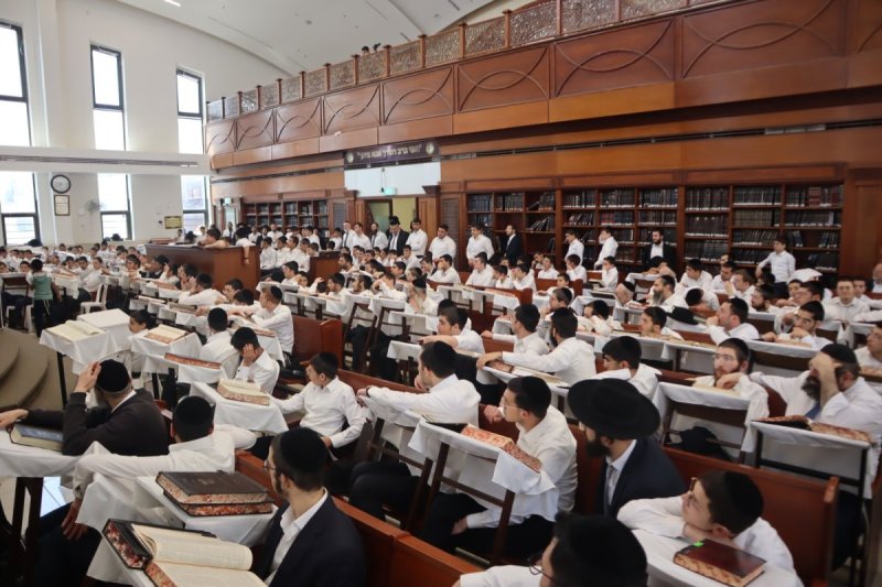 גד שקד וסופר סטודיו