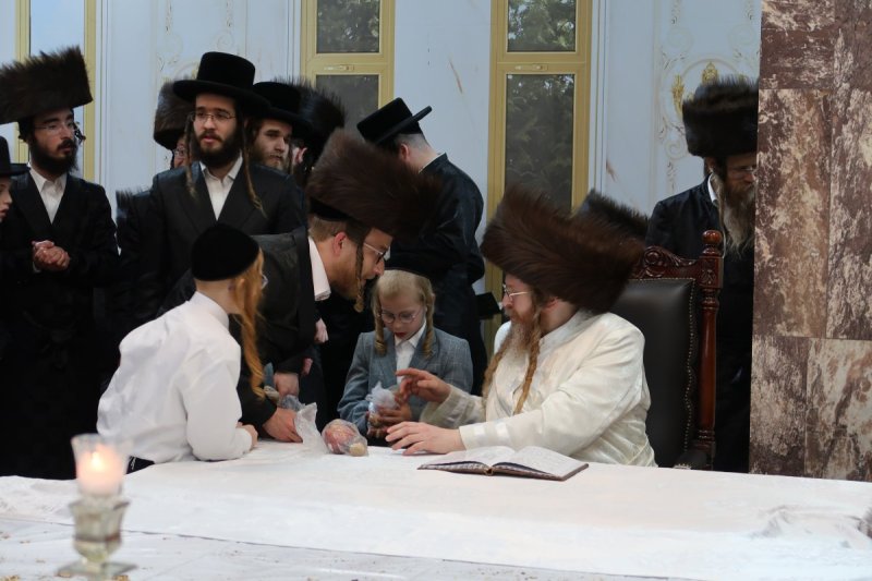 דודי סגל