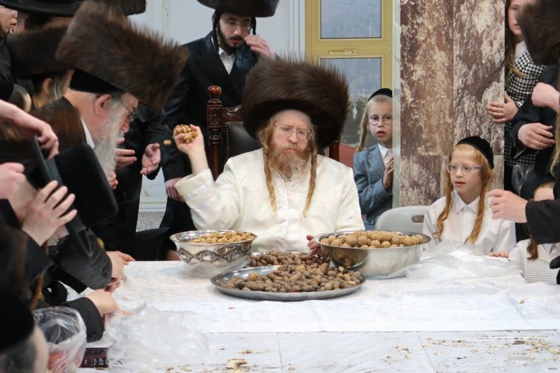 דודי סגל