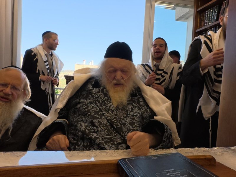 דוד ק.
