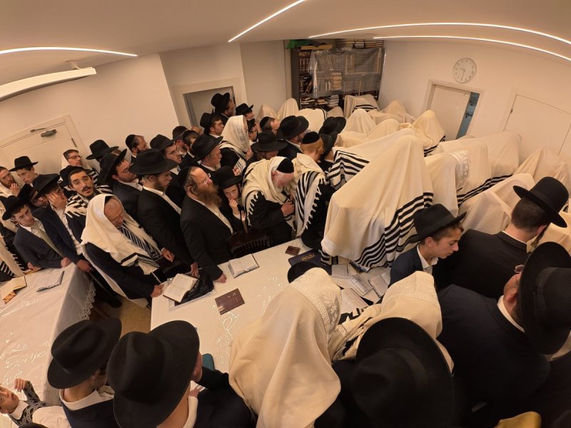 דוד ק.