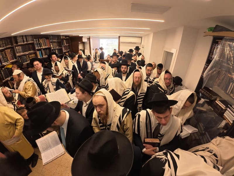 דוד ק.