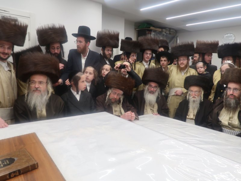 דוד ק.