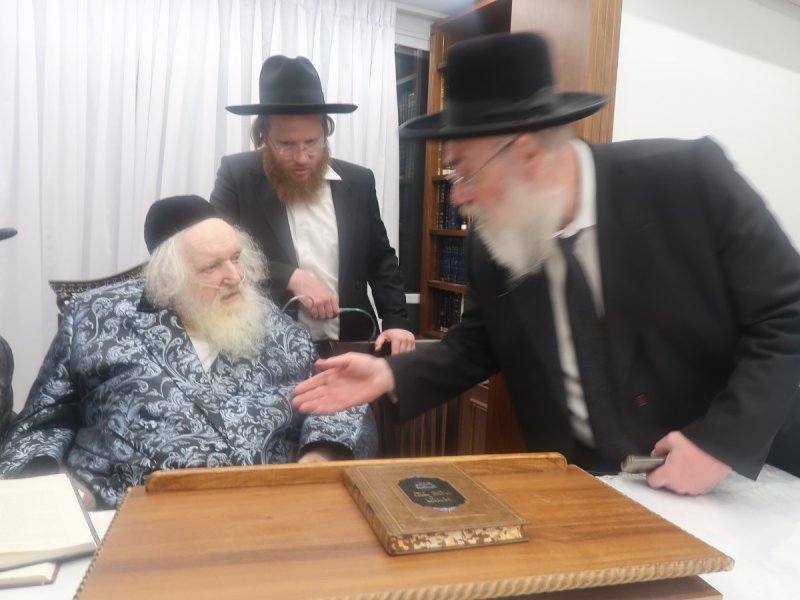 דוד ק.