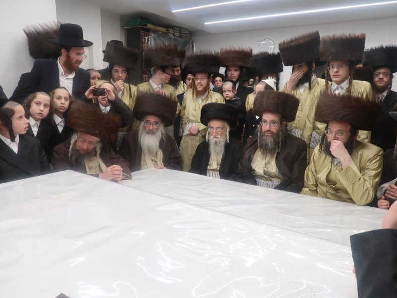 דוד ק.