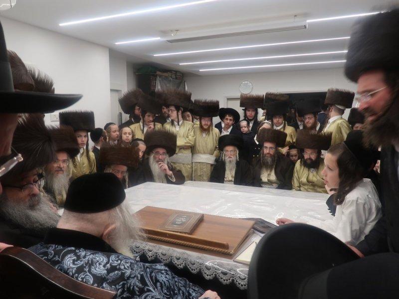דוד ק.