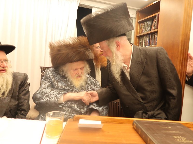 דוד ק.