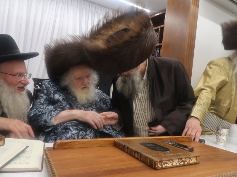 דוד ק.
