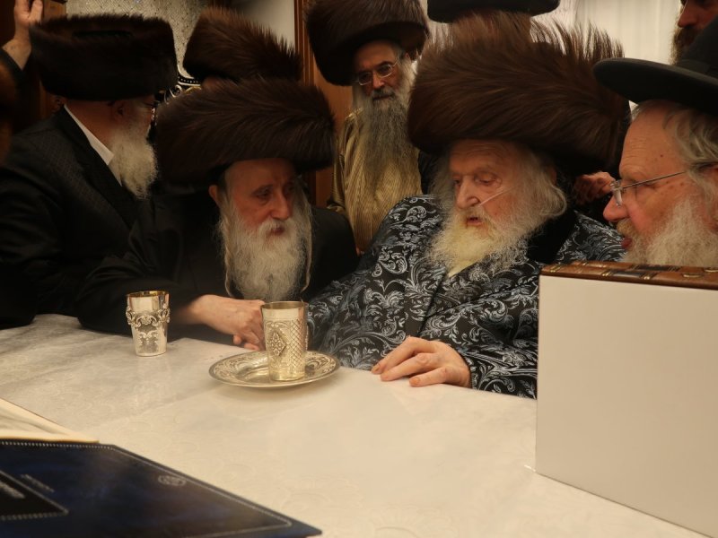 דוד ק.