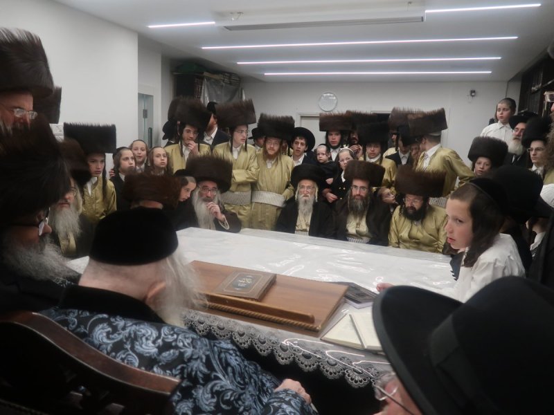 דוד ק.