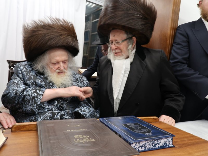 דוד ק.