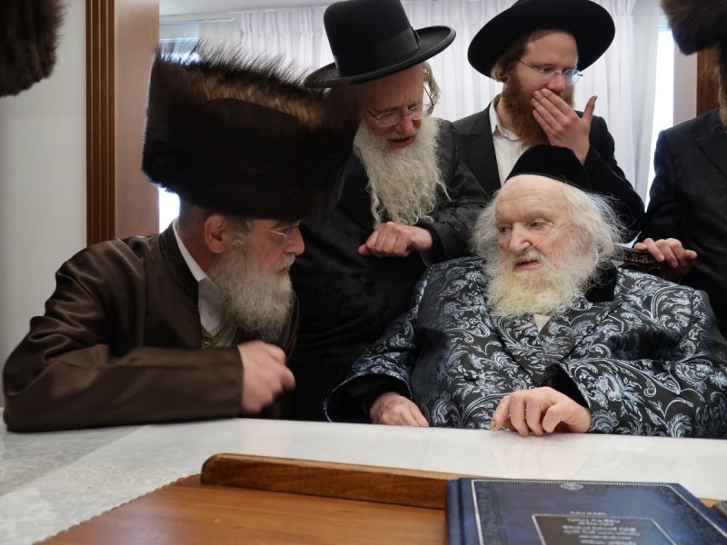 דוד ק.
