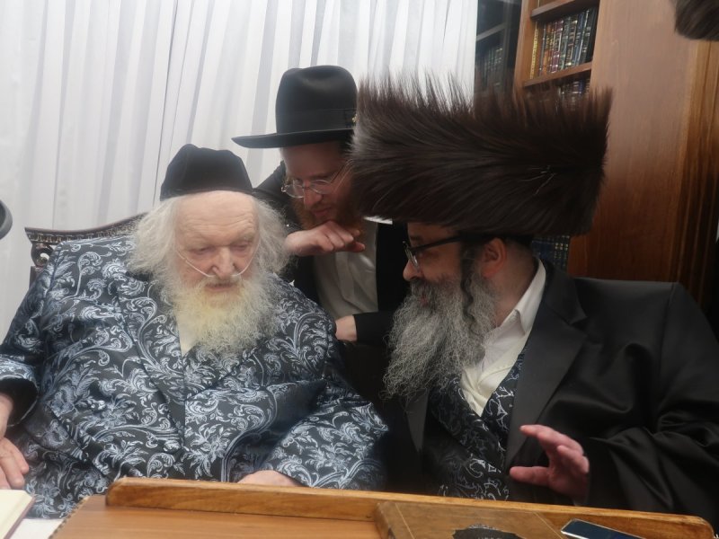 דוד ק.