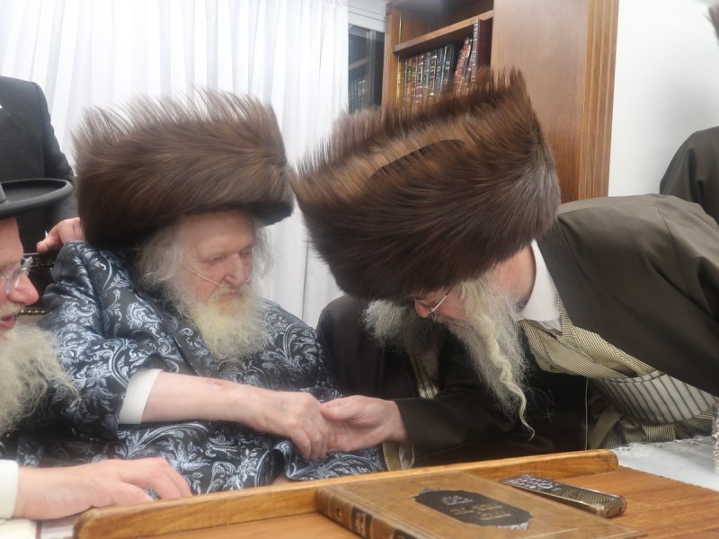 דוד ק.