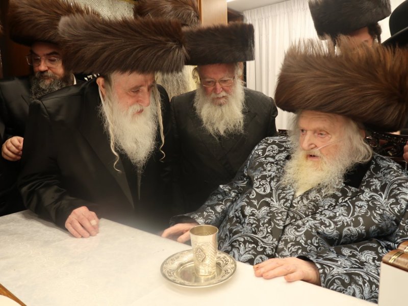 דוד ק.
