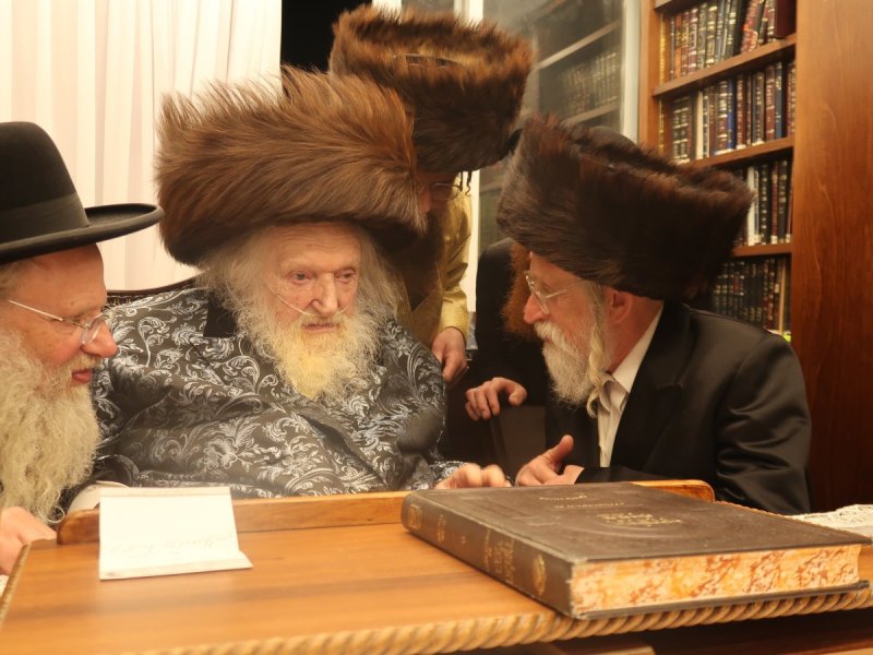 דוד ק.