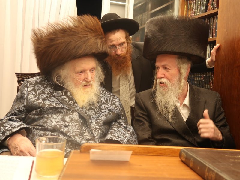 דוד ק.
