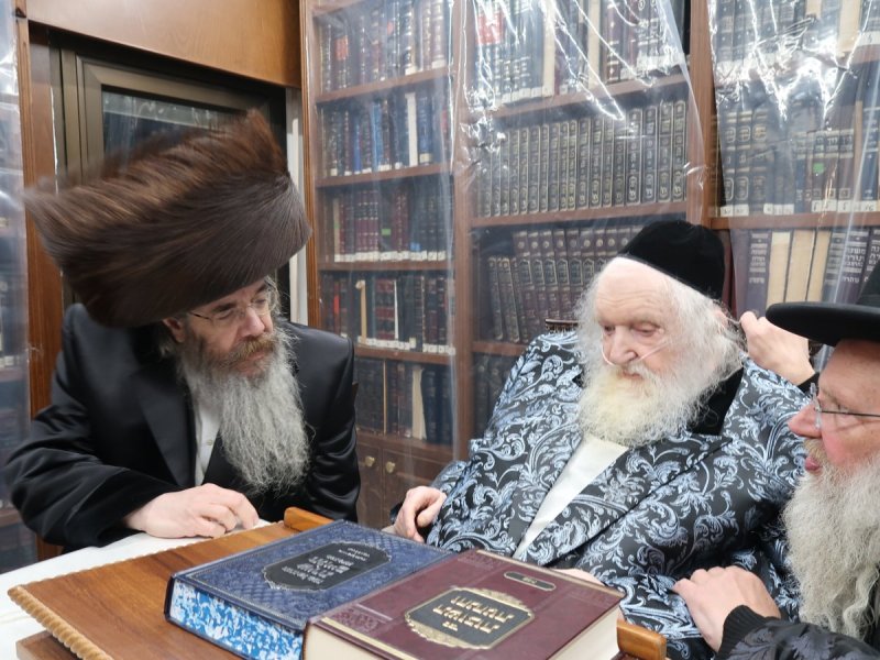 דוד ק.