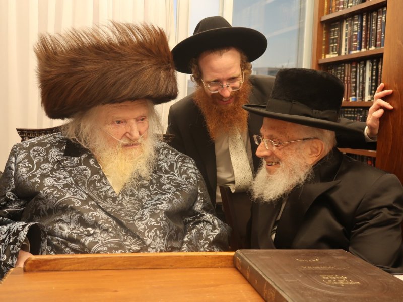 דוד ק.