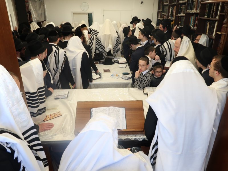 דוד ק.