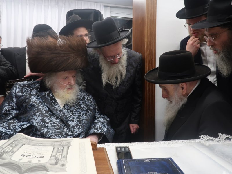 דוד ק.