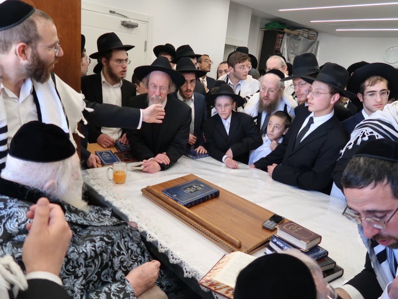 דוד ק.