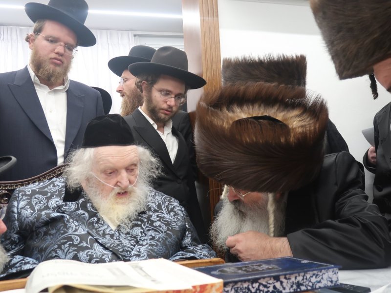 דוד ק.