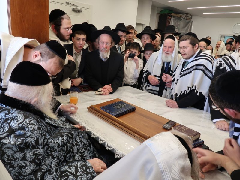 דוד ק.