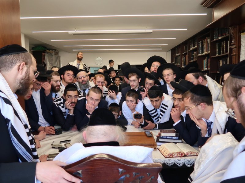דוד ק.
