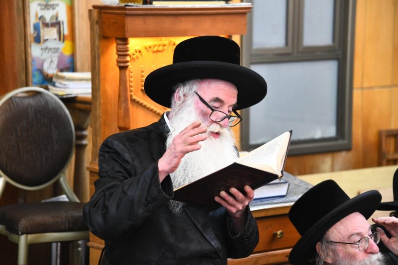 שוקי לרר