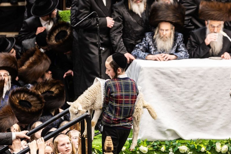 אייזיק י.