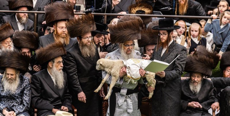 אייזיק י.