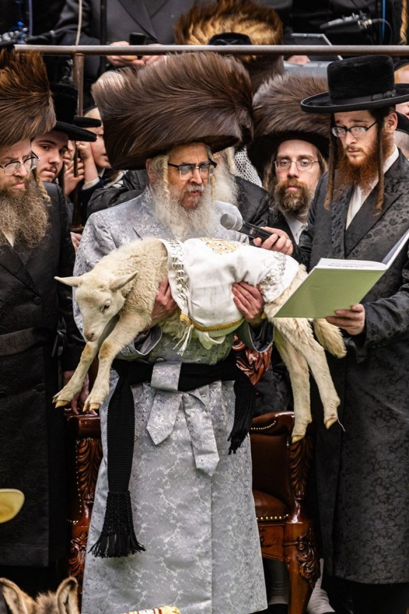 אייזיק י.