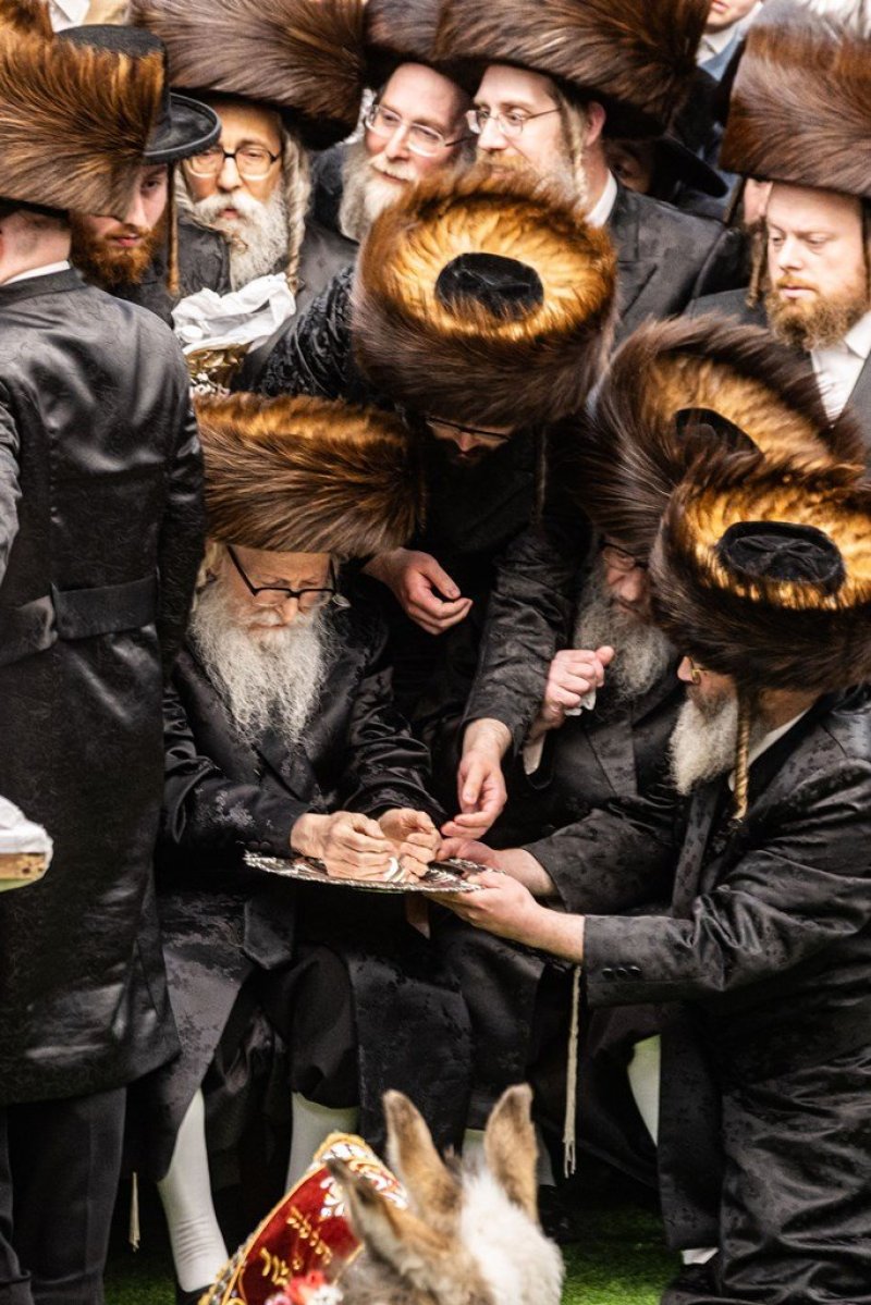 אייזיק י.