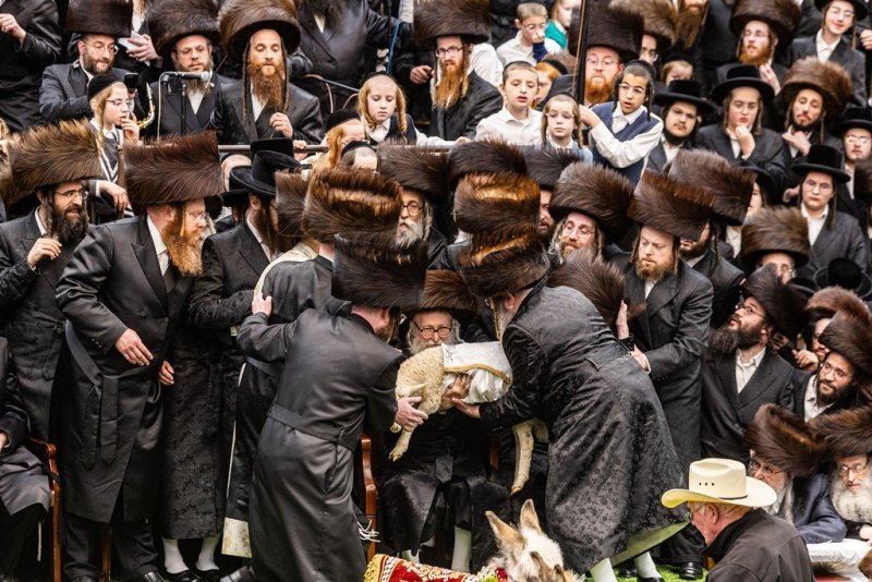 אייזיק י.
