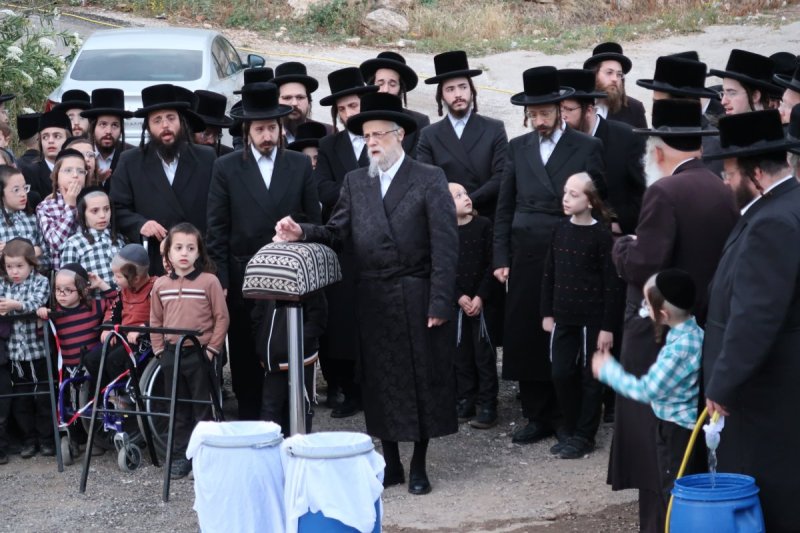 יוסי לוי