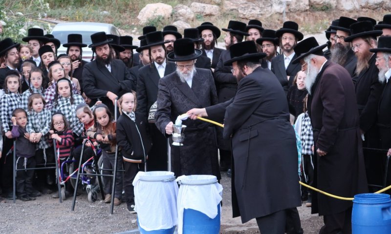 בשיכון בחיפה: כך נראה פסח בחצר הקודש סערט ויז'ניץ